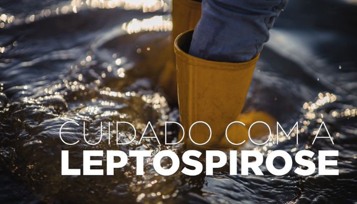  Saúde alerta: leptospirose é doença grave e risco aumenta após chuvas
